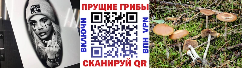 Галлюциногенные грибы мицелий  где продают наркотики  Иннополис 